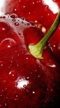 Scaricare immagine 1024x768 Food, Sweet cherry, Berries sul telefono gratis.