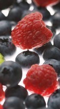 Scaricare immagine Food, Bilberries, Background, Fruits, Berries, Raspberry sul telefono gratis.