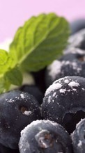 Scaricare immagine Fruits, Food, Bilberries, Berries sul telefono gratis.