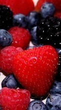 Scaricare immagine Fruits, Food, Strawberry, Bilberries, Berries sul telefono gratis.