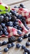 Scaricare immagine Food,Bilberries,Berries,Plants,Blackberry sul telefono gratis.