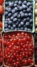 Fruits, Food, Backgrounds, Berries per Sony Xperia C4