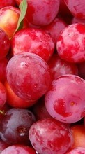 Scaricare immagine 800x480 Fruits, Food, Backgrounds, Berries, Plum sul telefono gratis.