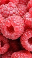 Scaricare immagine Food, Background, Fruits, Berries, Raspberry sul telefono gratis.