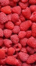 Scaricare immagine Food, Background, Fruits, Berries, Raspberry sul telefono gratis.