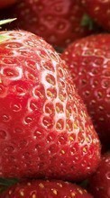 Scaricare immagine Food, Background, Fruits, Strawberry sul telefono gratis.