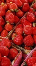 Scaricare immagine Fruits, Food, Strawberry, Backgrounds sul telefono gratis.