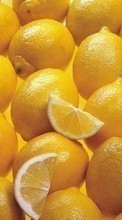 Scaricare immagine Fruits, Food, Backgrounds, Lemons sul telefono gratis.
