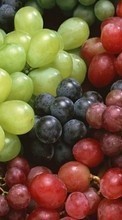 Scaricare immagine 720x1280 Fruits, Food, Backgrounds, Grapes sul telefono gratis.