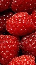 Scaricare immagine 320x480 Food, Backgrounds, Raspberry, Berries sul telefono gratis.