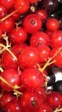 Scaricare immagine 128x160 Fruits, Food, Berries sul telefono gratis.
