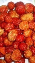 Scaricare immagine 1024x600 Fruits, Food, Strawberry, Berries sul telefono gratis.