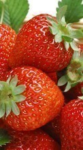 Scaricare immagine 320x480 Fruits, Food, Strawberry, Berries sul telefono gratis.