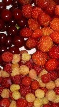 Scaricare immagine 320x240 Fruits, Food, Strawberry, Cherry, Raspberry, Berries sul telefono gratis.