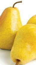 Scaricare immagine 320x240 Fruits, Food, Pears sul telefono gratis.