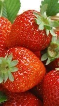 Scaricare immagine Food, Fruits, Strawberry sul telefono gratis.