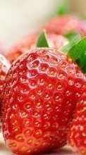 Scaricare immagine Food,Fruits,Strawberry sul telefono gratis.
