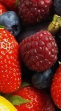 Scaricare immagine Food, Fruits, Strawberry, Raspberry, Blackberry sul telefono gratis.