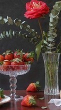Food,Fruits,Strawberry,Still life per Lenovo A316i