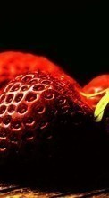 Scaricare immagine 240x400 Plants, Fruits, Food, Strawberry, Berries sul telefono gratis.