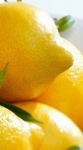 Scaricare immagine Fruits, Food, Lemons sul telefono gratis.