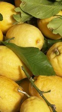 Food, Fruits, Lemons per OnePlus 8 Pro