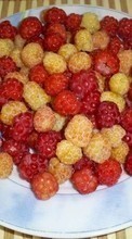 Scaricare immagine Fruits, Food, Raspberry, Berries sul telefono gratis.