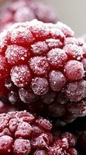 Scaricare immagine Food, Fruits, Raspberry sul telefono gratis.
