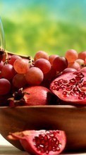 Scaricare immagine Food,Fruits,Drinks,Vine,Grapes sul telefono gratis.