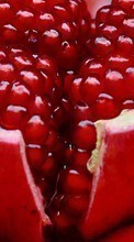 Scaricare immagine Food, Fruits, Pomegranates sul telefono gratis.