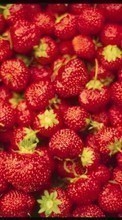 Scaricare immagine Food, Berries, Strawberry sul telefono gratis.