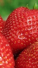Scaricare immagine 1024x600 Food, Strawberry, Berries sul telefono gratis.