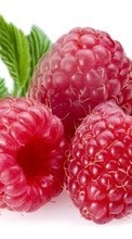 Scaricare immagine 128x160 Food, Raspberry, Berries sul telefono gratis.