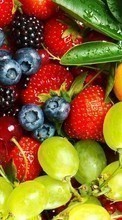 Scaricare immagine Food,Berries,Plants sul telefono gratis.