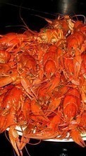 Scaricare immagine Food, Crayfish sul telefono gratis.