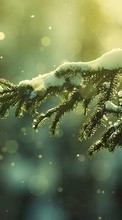 Scaricare immagine Fir-trees,Background,Snow sul telefono gratis.