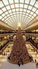 Scaricare immagine 800x480 Holidays, Cities, Humans, New Year, Fir-trees, Christmas, Xmas sul telefono gratis.