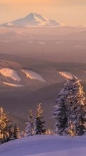 Scaricare immagine Fir-trees, Mountains, Landscape, Snow, Winter sul telefono gratis.