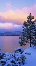 Scaricare immagine 128x160 Landscape, Winter, Sky, Fir-trees, Lakes sul telefono gratis.