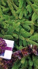 Holidays, New Year, Objects, Fir-trees, Christmas, Xmas per LG V10