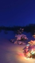 Scaricare immagine Fir-trees, New Year, Landscape, Holidays, Christmas, Xmas, Snow, Winter sul telefono gratis.