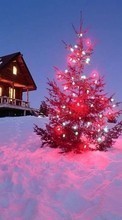 Scaricare immagine 360x640 Holidays, Landscape, Winter, New Year, Fir-trees, Christmas, Xmas sul telefono gratis.