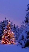 Scaricare immagine Fir-trees,New Year,Landscape,Winter sul telefono gratis.