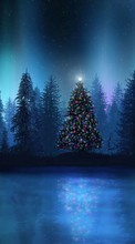 Scaricare immagine Fir-trees,New Year,Holidays sul telefono gratis.