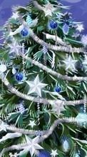Scaricare immagine Holidays, New Year, Fir-trees, Christmas, Xmas, Drawings sul telefono gratis.