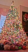Scaricare immagine Fir-trees, New Year, Holidays, Christmas, Xmas sul telefono gratis.