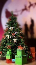 Scaricare immagine 1024x768 Fir-trees, New Year, Holidays, Christmas, Xmas sul telefono gratis.