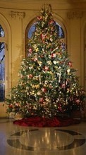 Scaricare immagine Holidays, New Year, Fir-trees, Christmas, Xmas sul telefono gratis.