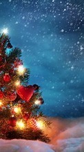 Scaricare immagine Fir-trees, New Year, Holidays, Christmas, Xmas, Snow sul telefono gratis.