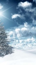 Scaricare immagine 1024x768 Fir-trees, New Year, Holidays, Christmas, Xmas, Winter, Stars sul telefono gratis.